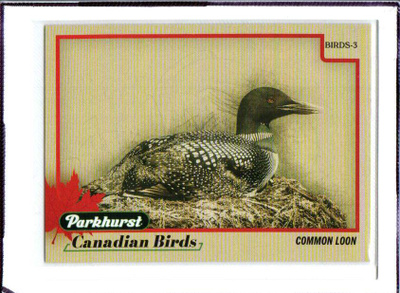 2025-26 Parkhurst - Canadian Birds - 0,75 € / kpl