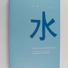 Banana Yoshimoto : Amrita - pikkukuva 1