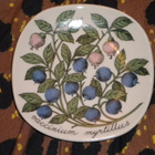Arabia ESTERI TOMULA - Vaccinium Myrtillus seinälautanen - pikkukuva 3