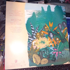 LP Aquarian Dream : Fantasy ( SIS POSTIKULU ) - pikkukuva 2