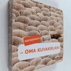 Vastakohdat : oma kuvakirjani - pikkukuva 1