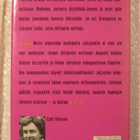 Carl Hiaasen • Onnen koukussa - pikkukuva 2