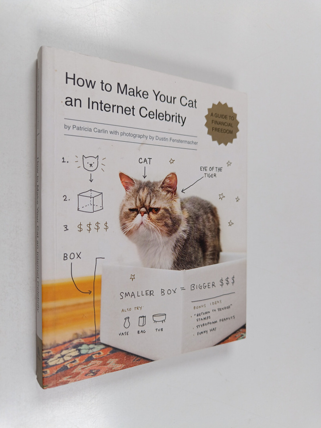Patricia Carlin : How to make your cat an Internet celebr...