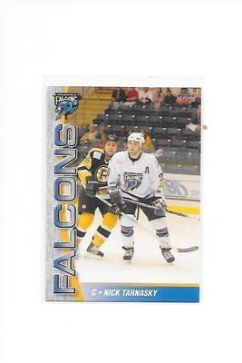 2005-06 Springfield Falcons #17 Nick Tarnasky Gooni farmi