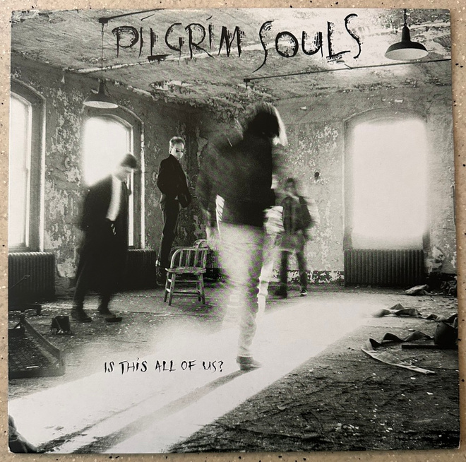 [LP] PILGRIM SOULS: IS THIS ALL OF US?