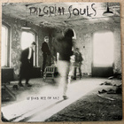 [LP] PILGRIM SOULS: IS THIS ALL OF US? - pikkukuva 1