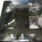 SACRED SIN - SHADES BEHIND LP UUSI MUOVEISSA - pikkukuva 2