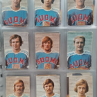 1973 Jenkki MM-jääiekko kuvat 3€/kpl - pikkukuva 1