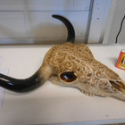 ANIMAL SKULL 30 X 31CM TRIBAL	(45 516)	seinälle - pikkukuva 3