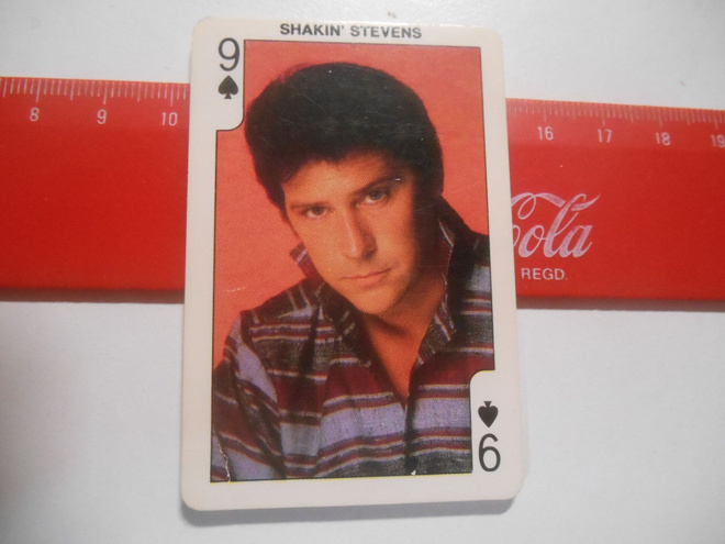 K11 Dandy Rockn Bubble# Shakin Stevens