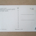 CCCP: kolmetoista intialaista nukketanssijatar -postikorttia - pikkukuva 5
