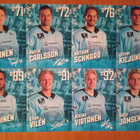 2023-24 Pelicans Team Issue 2€ kpl tai kaikki 30€ - pikkukuva 4