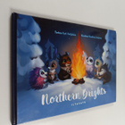 Kati Heljakka : Northern brights : iltasatu - pikkukuva 1