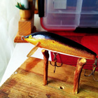 Rapala Countdown 6cm Finland - pikkukuva 1