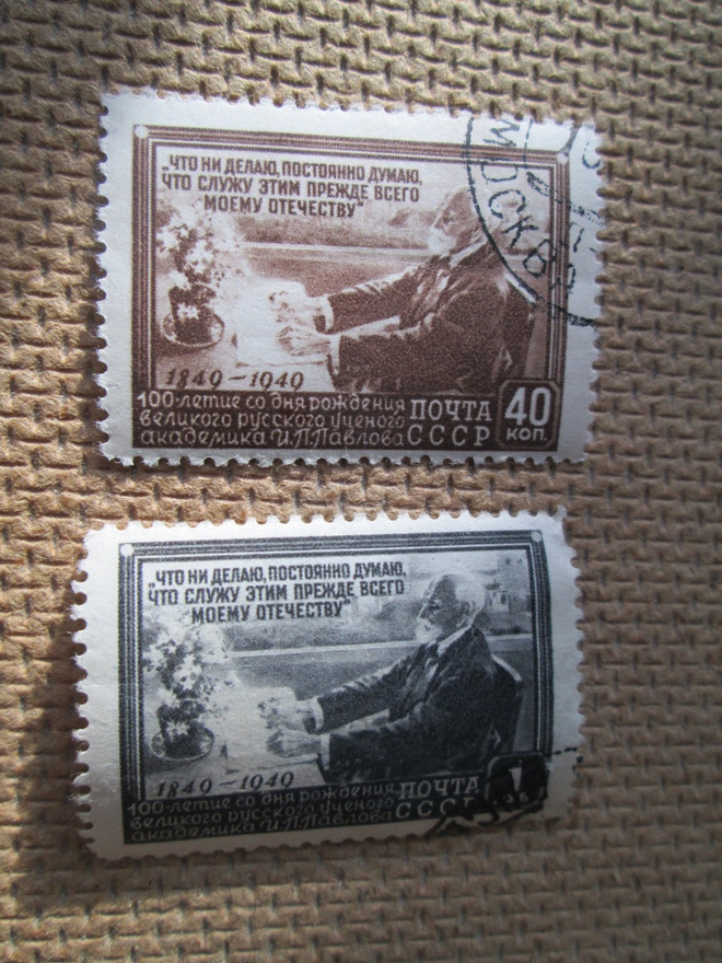 CCCP 1949: Ivan Pavlov 100 v.