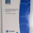 Innovation generating model - Simultaneous development of... - pikkukuva 2