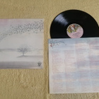 GENESIS - Wind & Wuthering LP - pikkukuva 2
