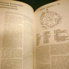 KYMEN JÄÄKÄRIPATALJOONA 60 vuotta (1.p.1981) Sis.postikulut - pikkukuva 3