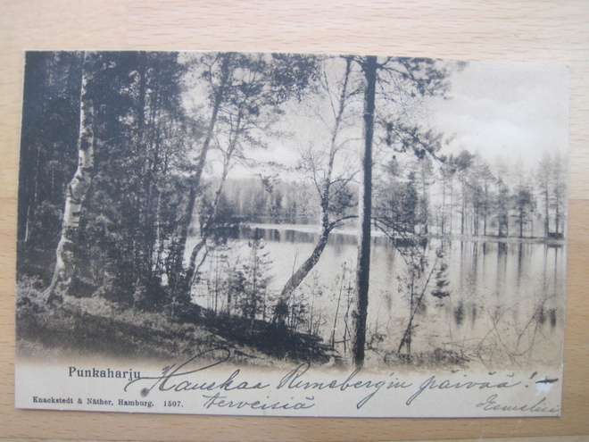 VANHA Postikortti Punkaharju 1904