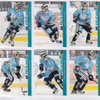 2012-13 Cardset Ser 2 Pelicans Team Set 12 korttia (277-288) - pikkukuva 2