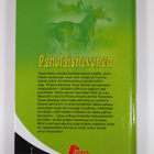 Pamela Kavanagh : Paholaishevonen - pikkukuva 2