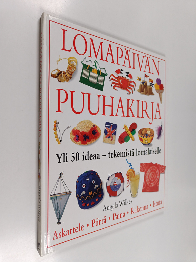 Angela Wilkes : Lomapäivän puuhakirja
