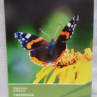 Luonnossa 2011 - Hyötyä, tietoa ja elämyksiä - pikkukuva 2