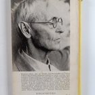 Hermann Hesse : Pelko - pikkukuva 2