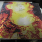 GIDDYUPS - MONKEY MASH LP M-/M- RARE ON VINYL - pikkukuva 2
