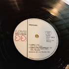lp  Piirpauke - pikkukuva 4
