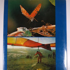 Stephen Dalton : The miracle of flight - pikkukuva 2