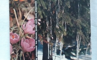 Pellervo N:o 6 huhtikuu 1970