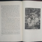 Boccaccio: Decameron (1954, SWE) - pikkukuva 5