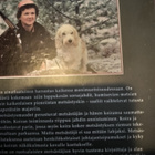 Koiran kanssa metsällä - pikkukuva 2