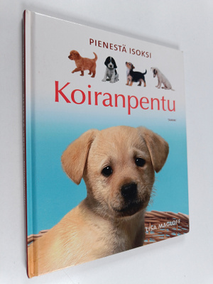Lisa Magloff : Koiranpentu