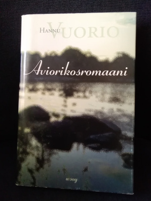 Hannu Vuorio: Aviorikosromaani