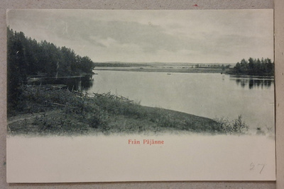 Päijänne: Rantamaisema *** (1311)