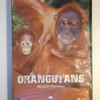 Orangutans - Wildlife Paradise (DVD) UUSI! - pikkukuva 1
