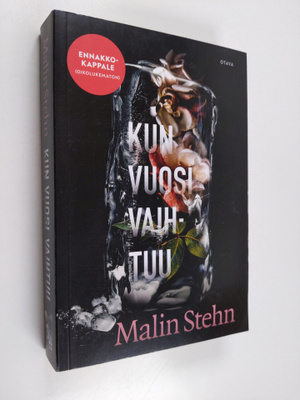 Malin Stehn : Kun vuosi vaihtuu (ennakkokappale)