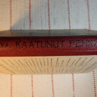 ANNI POLVA :  KAATUNUT PENKKI - pikkukuva 3