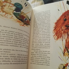 Andersenin satukirja - kuv. Grabianski - 3.p.1975 - pikkukuva 4