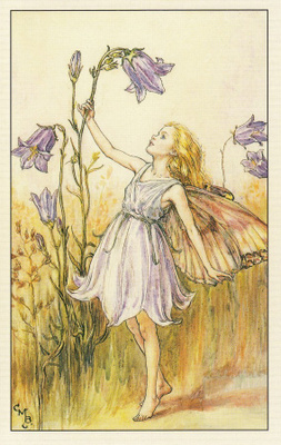 Cicely Mary Barker: Kukkakeijut kissankello