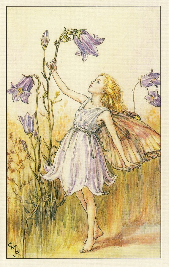 Cicely Mary Barker: Kukkakeijut kissankello