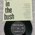 Bird In The Bush I'll Keep It Hidden 7"single - pikkukuva 2