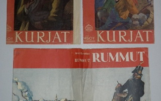 14 kpl kirjan kansipapereita Tanttu, Vesanto, Hauhio, Ham ym