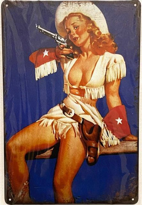 Pin-up kylttejä 5 kpl