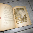 Satu-tyttö ja Ville-vekkuli ; juuso sarkka v 1947 - pikkukuva 3