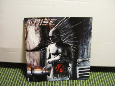 Arise:The godly work of art cd