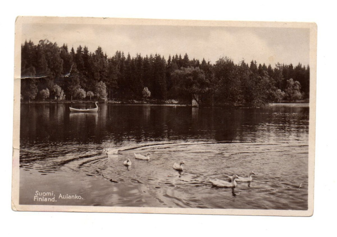 Hämeenlinna: Vene Aulangon Joutsenlammella