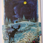 Omppu: poro kuutamolla, kulkenut 1980 - pikkukuva 1